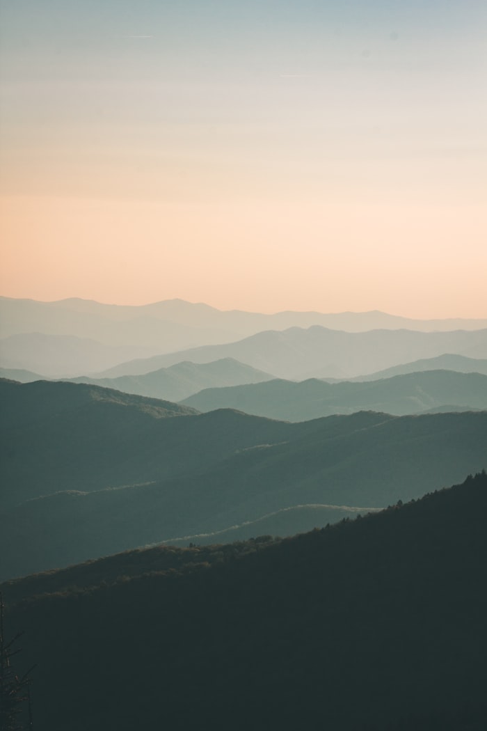 Land trust